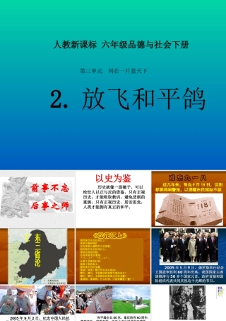 人教新课标品德与社会六年级下册《放飞和平鸽》PPT课件