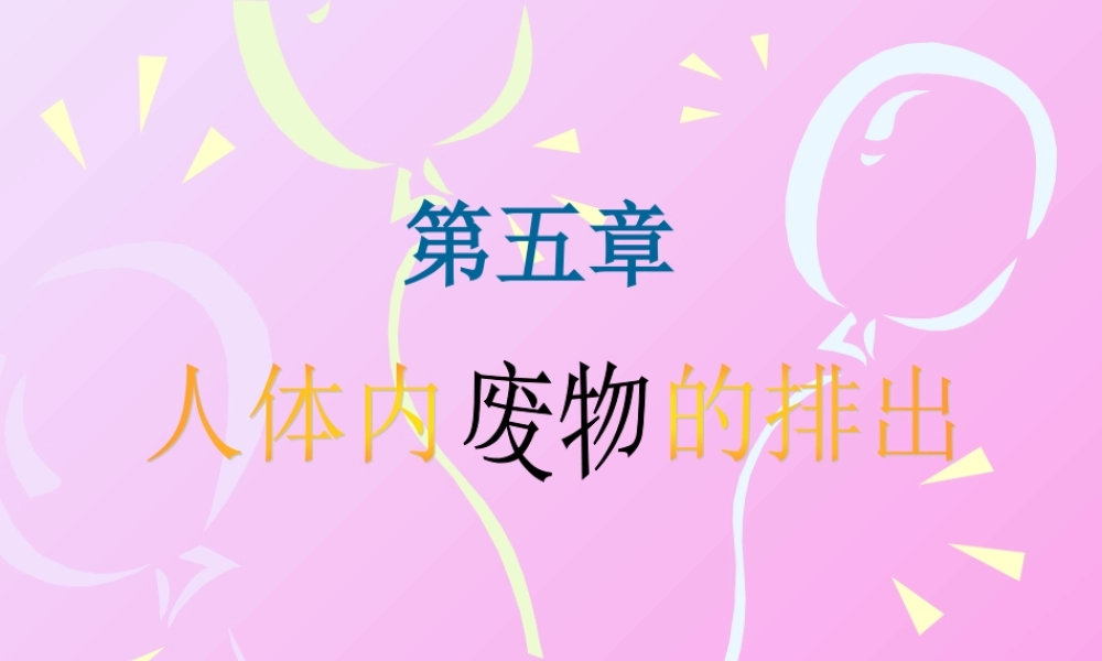 尿的形成和排出课件1