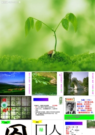 囚绿记优秀课件1