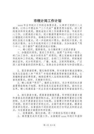 市统计局工作计划 