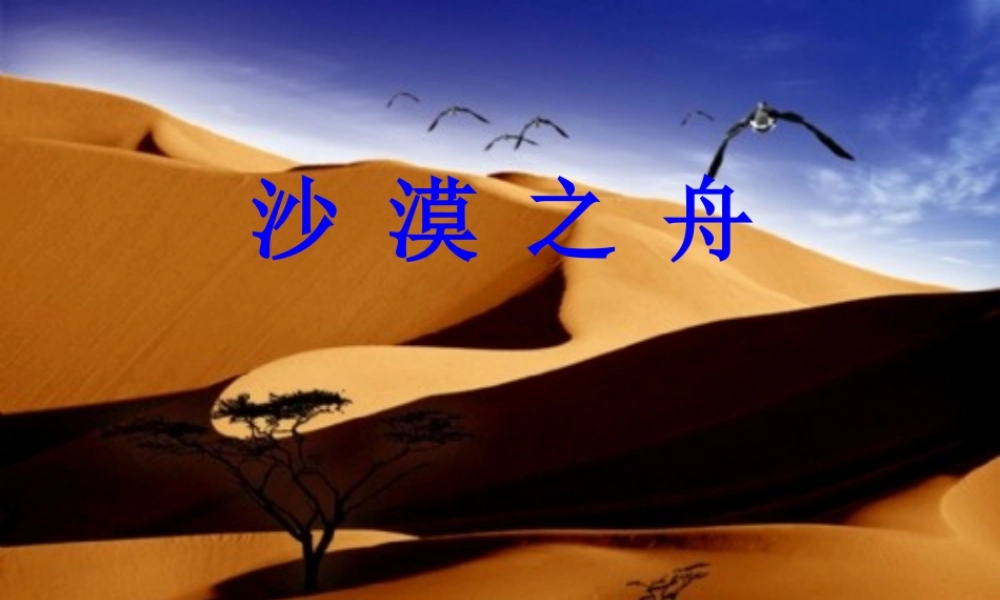 沙漠之舟课件修该件