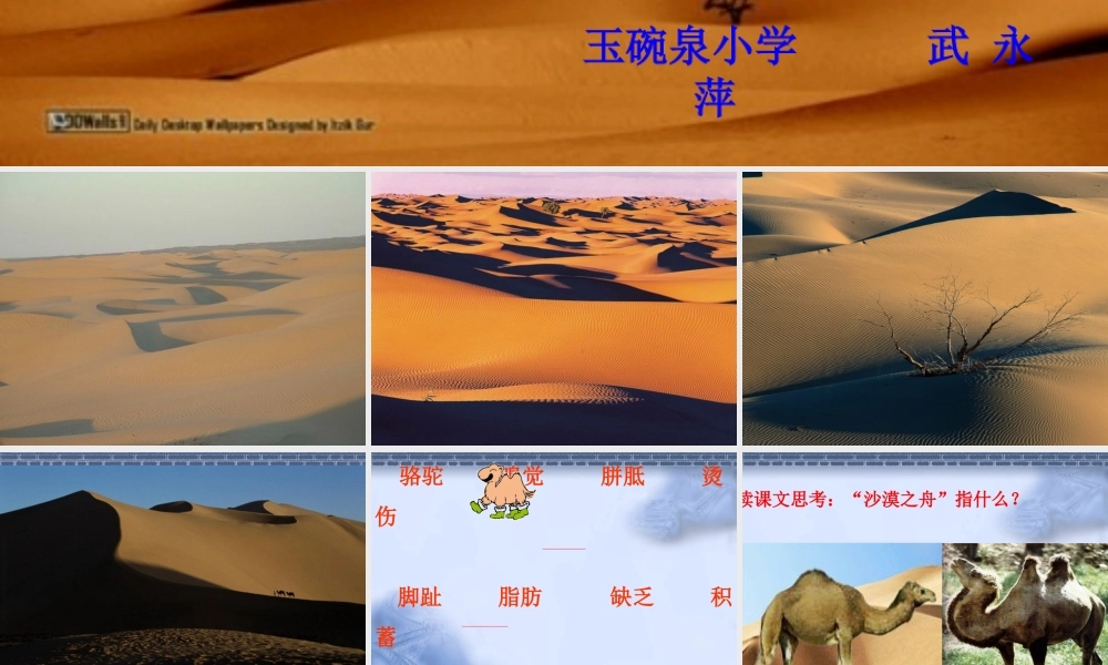 沙漠之舟课件修该件