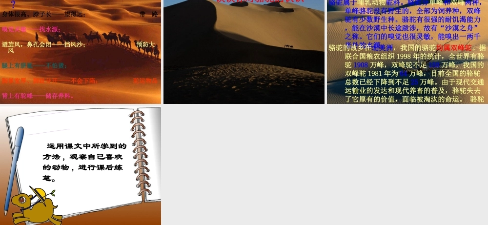 沙漠之舟课件修该件