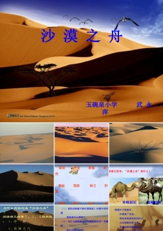 沙漠之舟课件修该件
