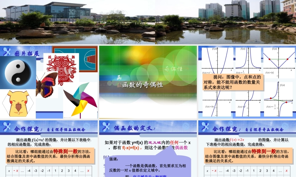 何文林函数的奇偶性上课课件2