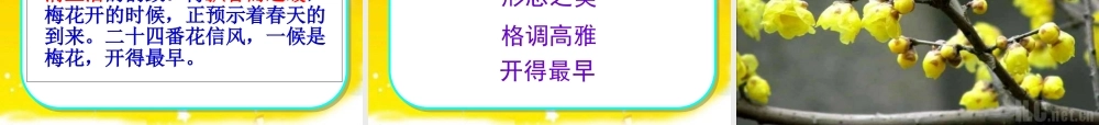 苏教版五年级下册第四课《早》课件_完美实用版