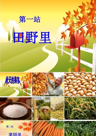 《美丽的秋天》课件