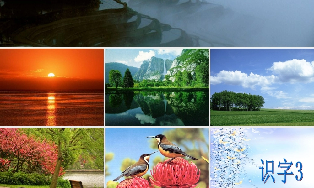 识字3 (3)