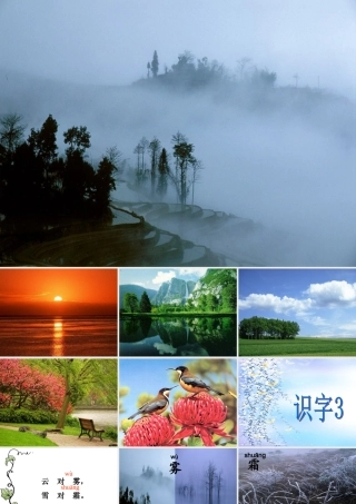 识字3 (3)