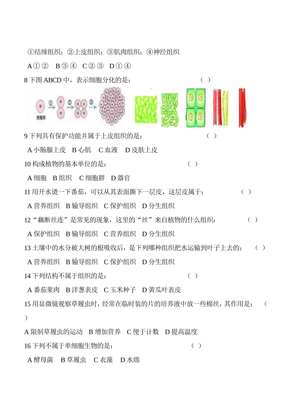 七年级上册第二单元第二章测试_第2页