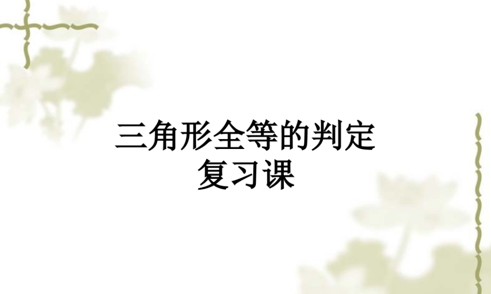 三角形全等复习课