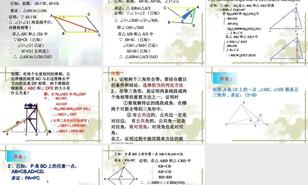三角形全等复习课