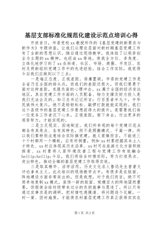 基层支部标准化规范化建设示范点培训心得