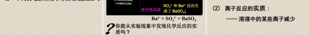 高中化学_第二章第二节《离子反应》课件_人教版必修1