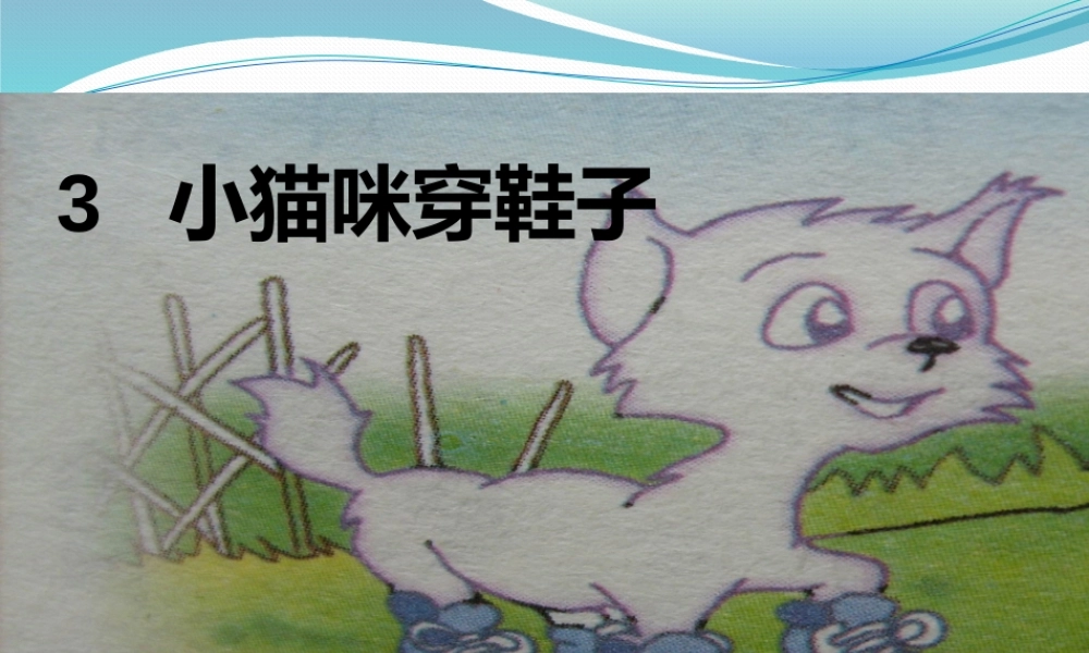 《小猫咪穿鞋子》