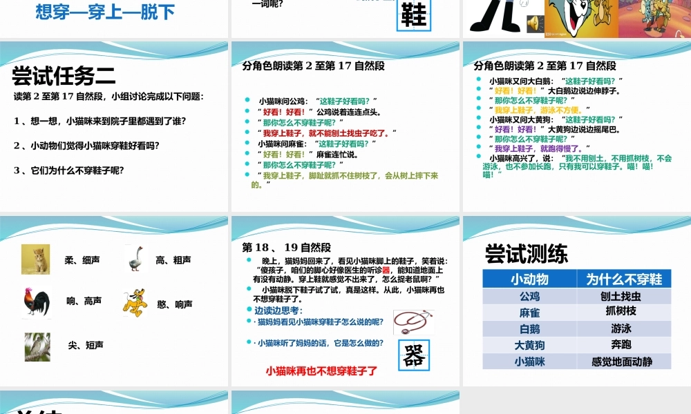 《小猫咪穿鞋子》