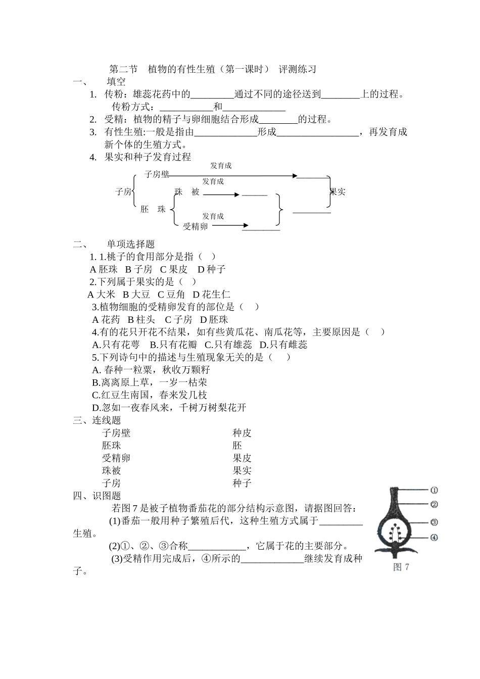 评测练习及答案_第1页