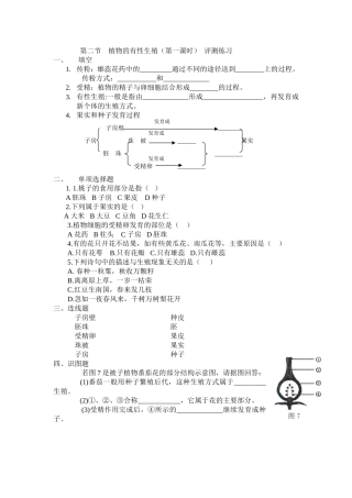 评测练习及答案
