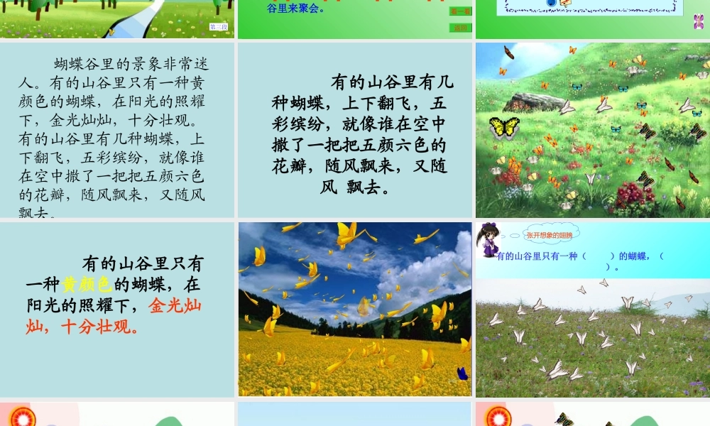 台湾的蝴蝶谷（课件）