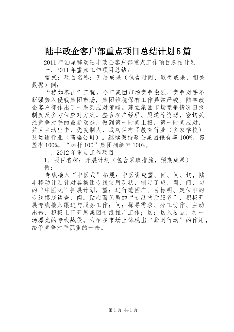 陆丰政企客户部重点项目总结计划5篇_第1页