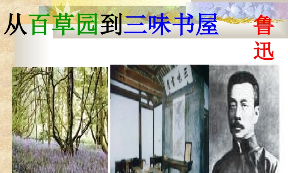 《从百草园到三味书屋》PPT课件精选2 (2)