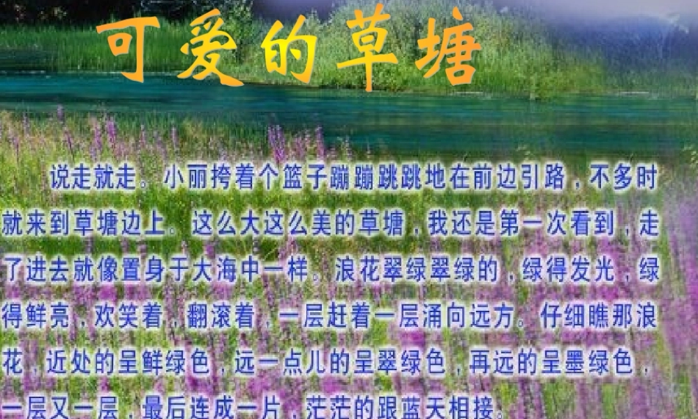 可爱的草塘(九册语文－叶丽珍)