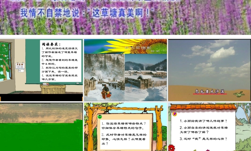 可爱的草塘(九册语文－叶丽珍)