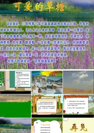 可爱的草塘(九册语文－叶丽珍)