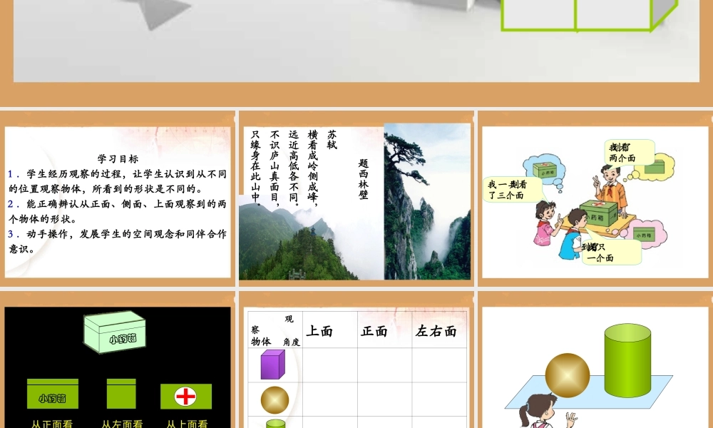 《观察物体1》