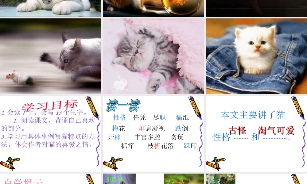 猫的PPT课件
