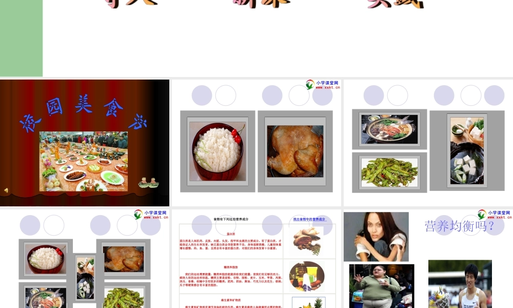四年级科学下册《营养要均衡》PPT课件之三(教科版)