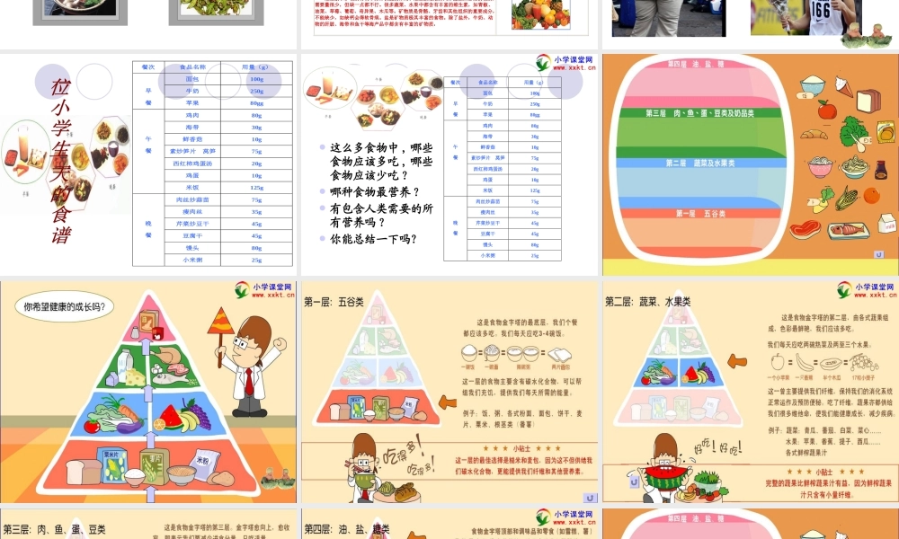 四年级科学下册《营养要均衡》PPT课件之三(教科版)