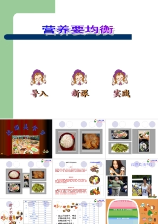 四年级科学下册《营养要均衡》PPT课件之三(教科版)
