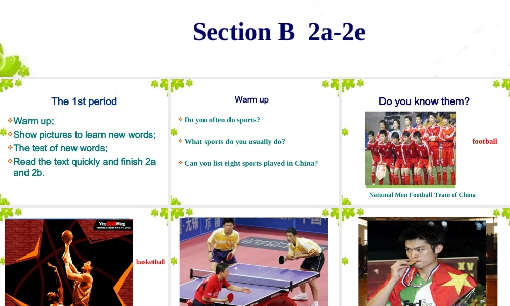 人教版九年级Unit6SectionB2a-2e课件