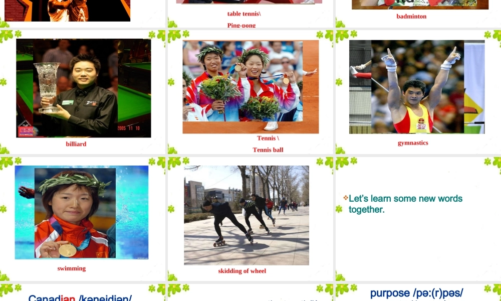 人教版九年级Unit6SectionB2a-2e课件