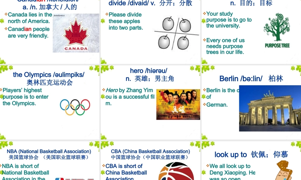 人教版九年级Unit6SectionB2a-2e课件