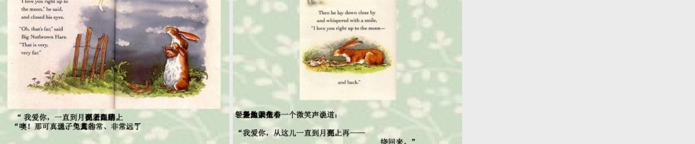 猜猜我有多爱你[1]