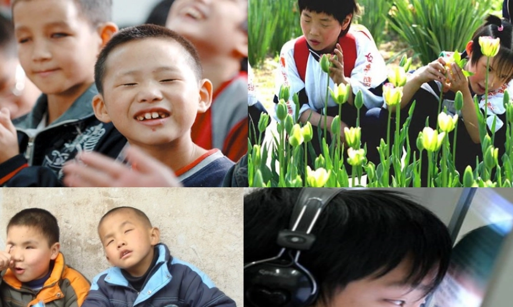 《永生的眼睛》课件 (3)