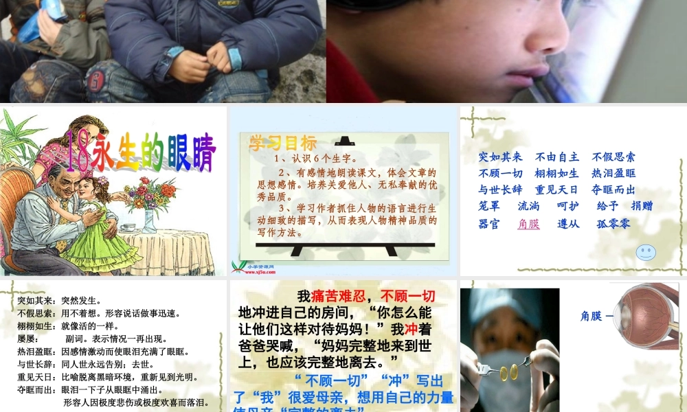 《永生的眼睛》课件 (3)