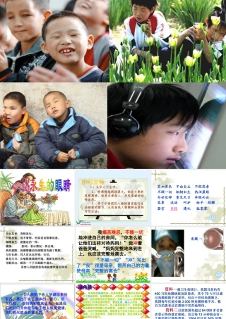 《永生的眼睛》课件 (3)