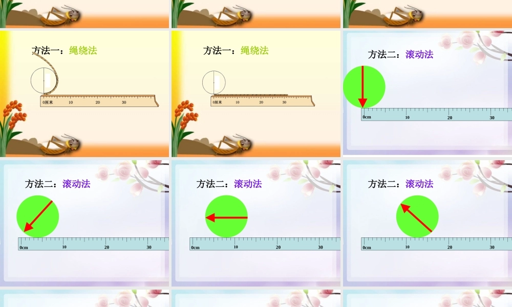 圆的周长课件---彭泽文