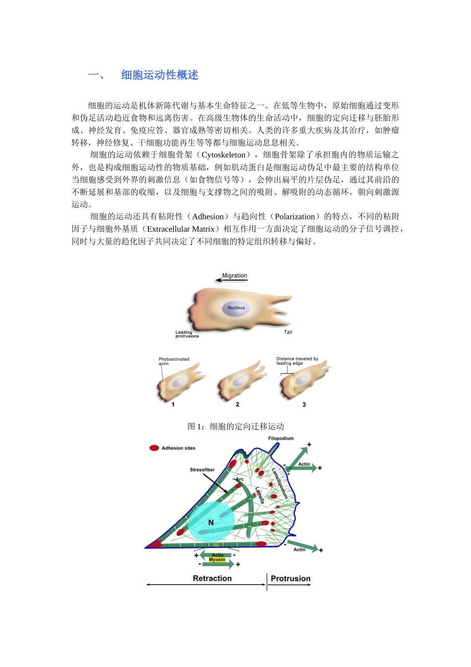 细胞生物学实验教程：细胞运动性检测实验详细介绍_第1页