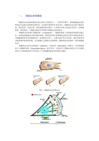 细胞生物学实验教程：细胞运动性检测实验详细介绍
