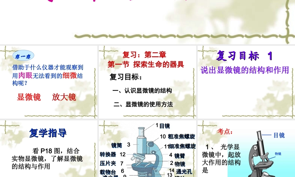 显微镜复习2013