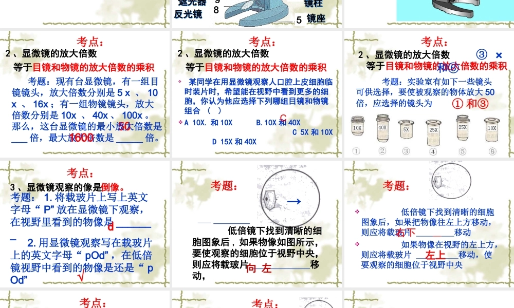 显微镜复习2013