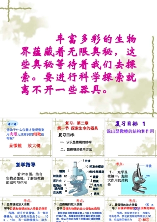 显微镜复习2013