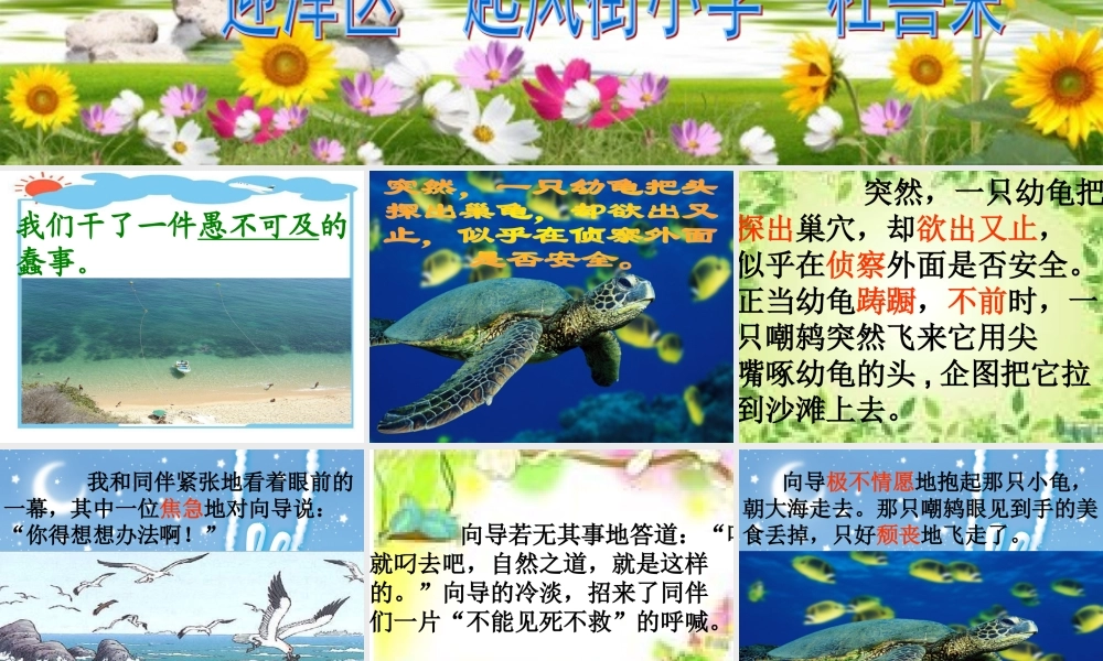 《自然之道》课件 (3)