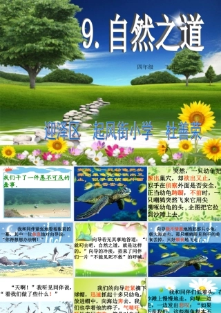 《自然之道》课件 (3)