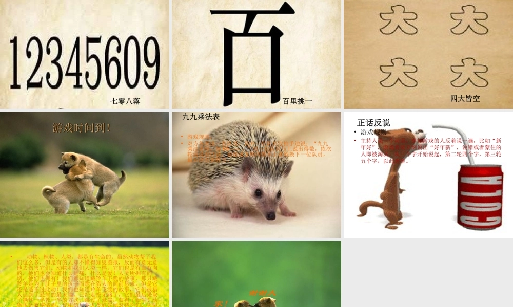 保护动物人人有责PPT