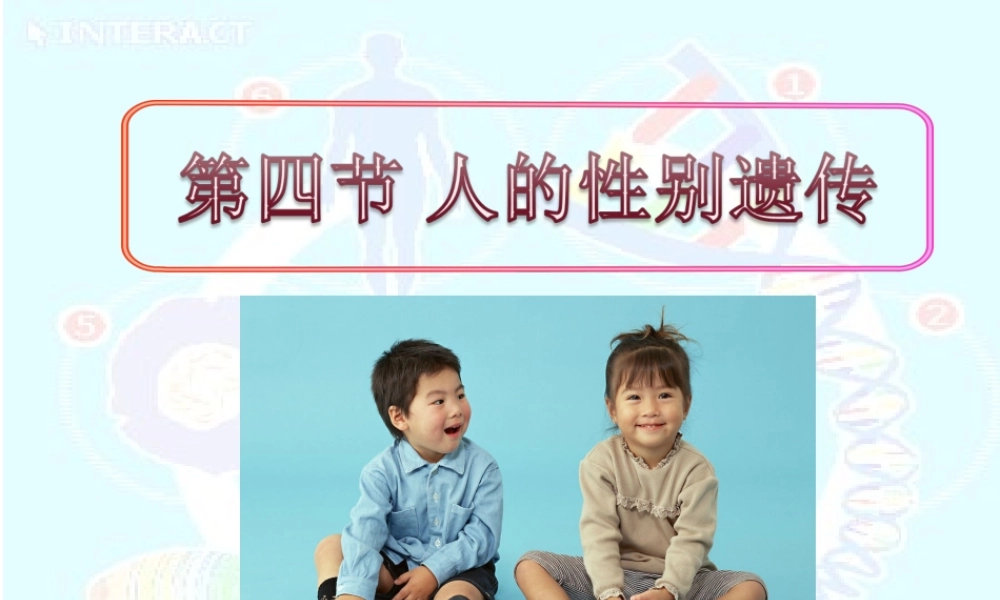 人的性别遗传课件人教版八年级下